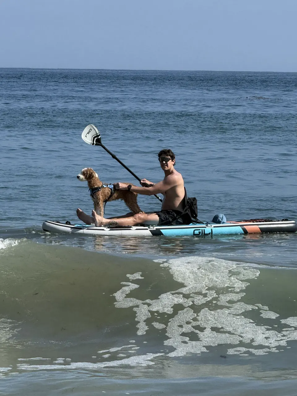 matt paddleboarding with finny on the front of the board